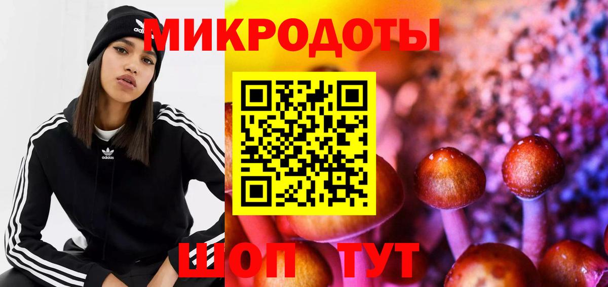 Псилоцибиновые грибы Psilocybe Ивантеевка
