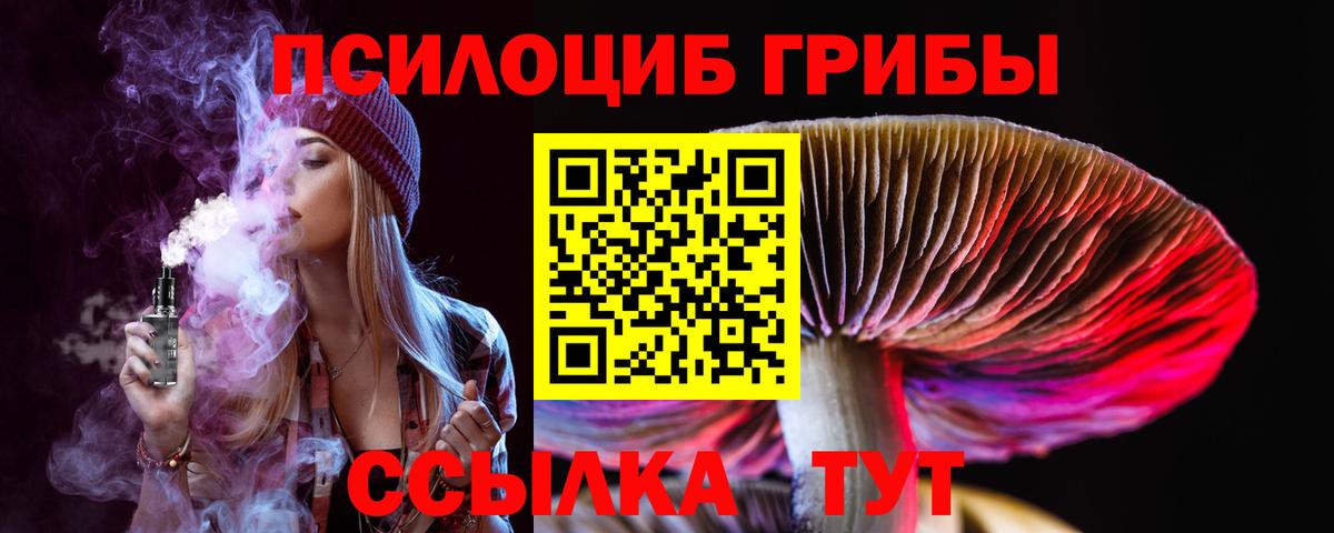 Псилоцибиновые грибы MAGIC MUSHROOMS  Вход с VPN  Ивантеевка 